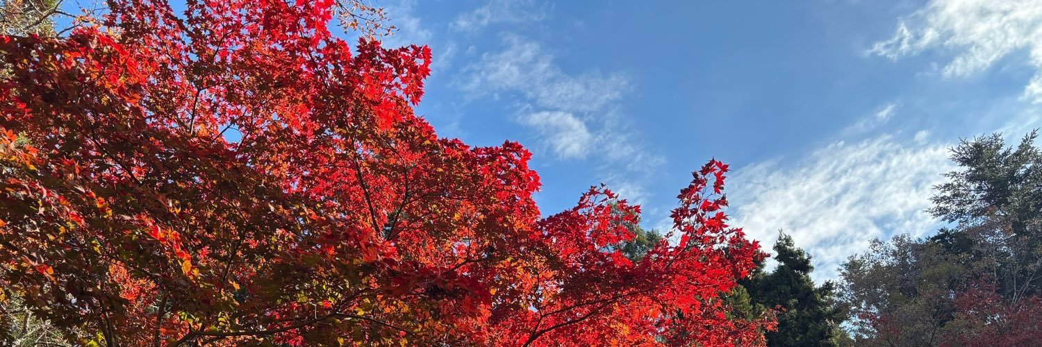 kaaaori1995's profile banner image