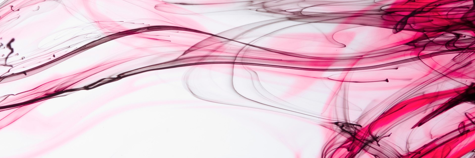 EmilyWhitney's profile banner image