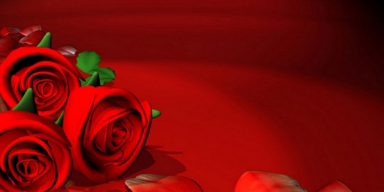 franc1ne's profile banner image