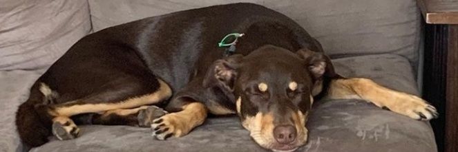 Dudette1024's profile banner image