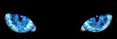 na2015t's profile banner image