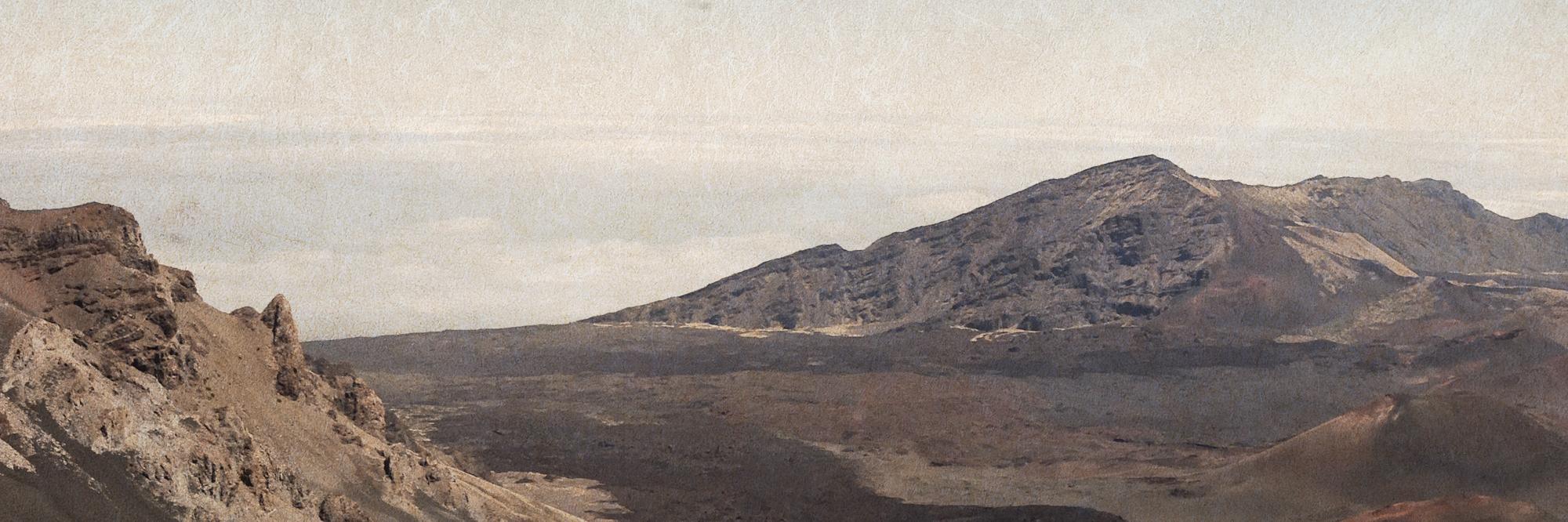 Roaming Relic banner