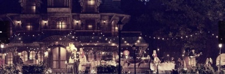 coniferseka's profile banner image