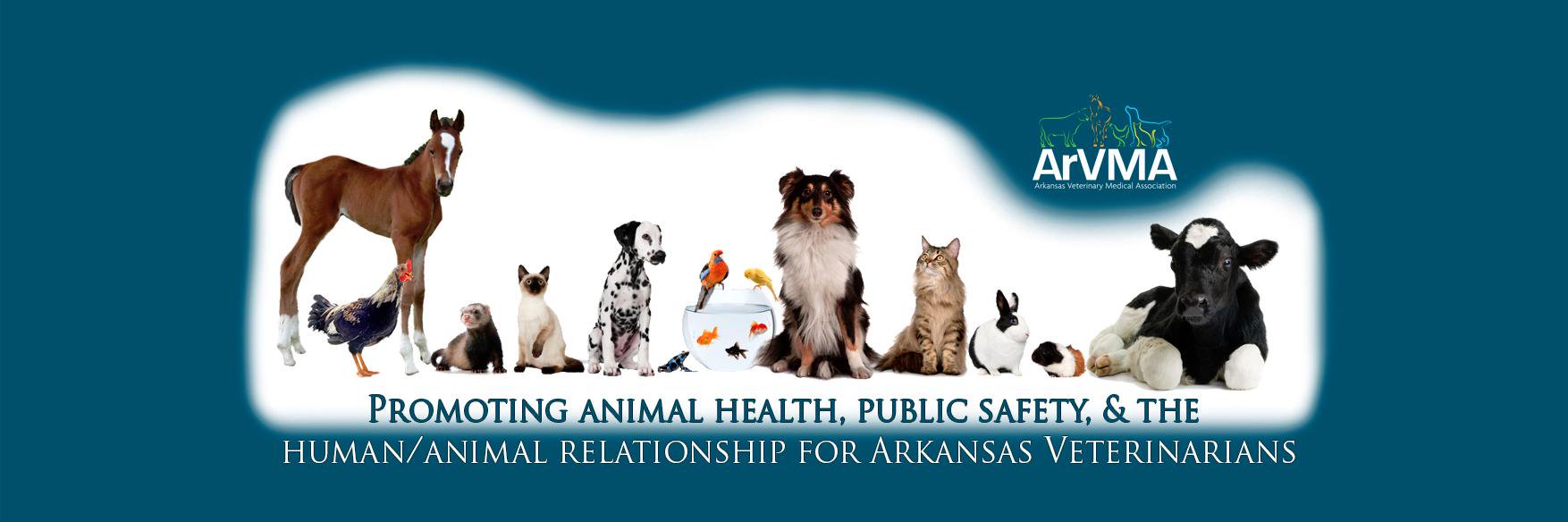 ArkansasVMA's profile banner image
