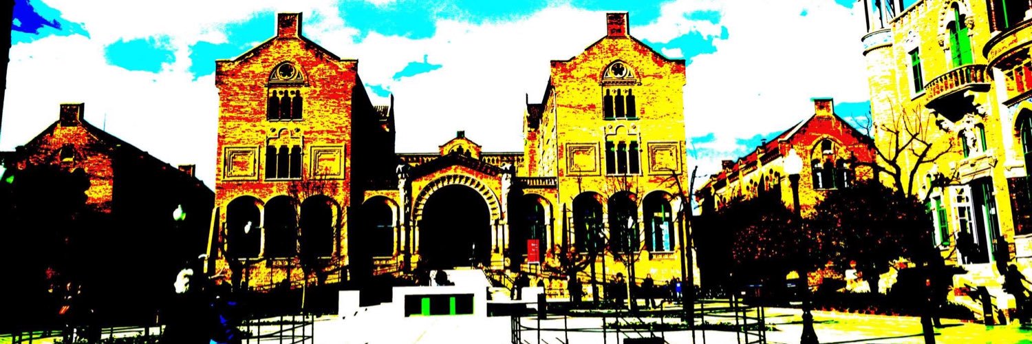 erol_antz's profile banner image