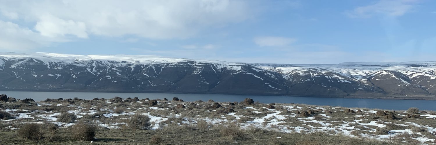 Mr. Color Coordination banner