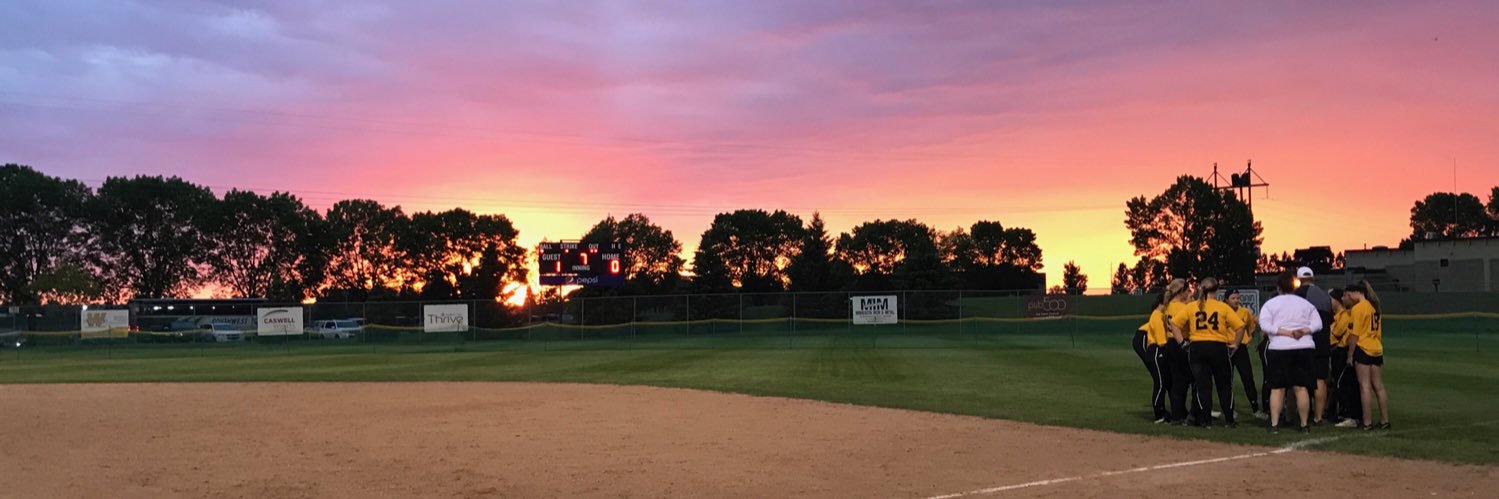 Official Cougar Softball banner