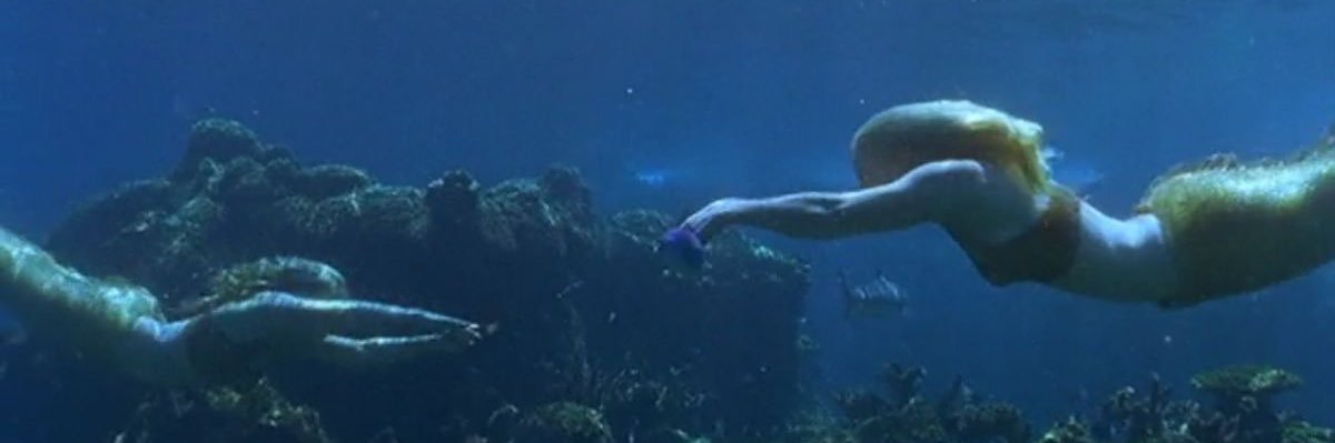 beachpalmcoc's profile banner image