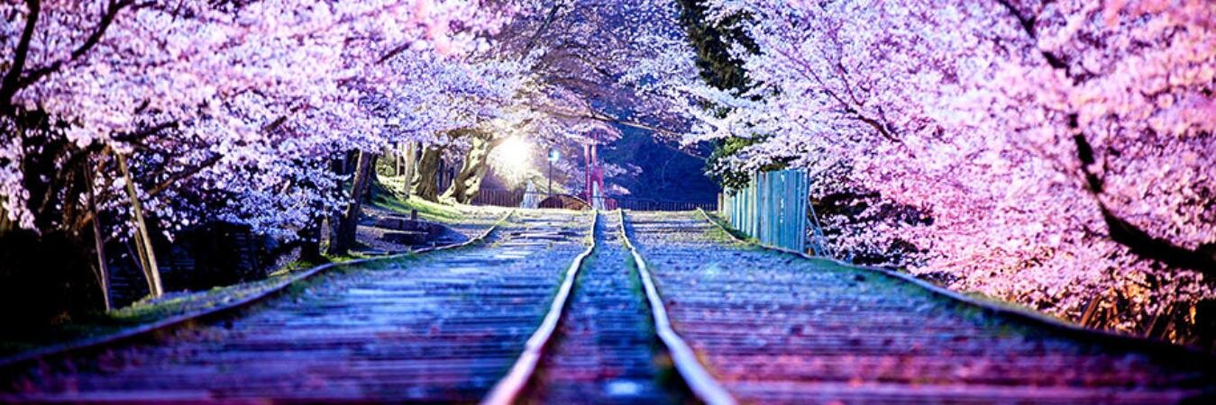 _cafeconmalicia's profile banner image