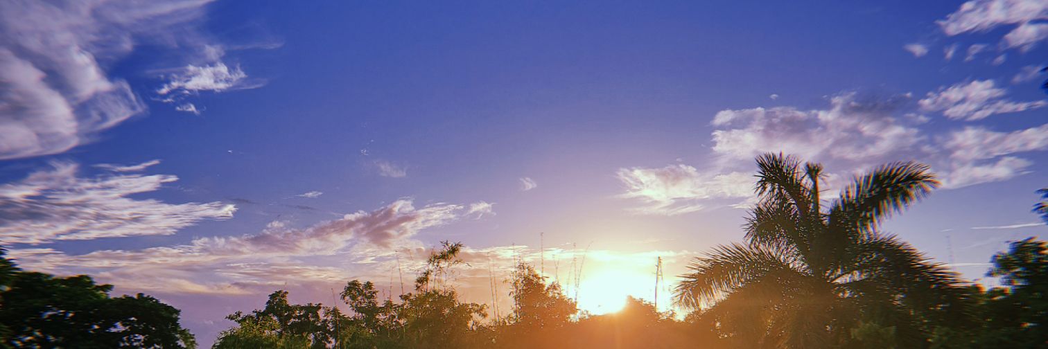 Ninoshkaar's profile banner image
