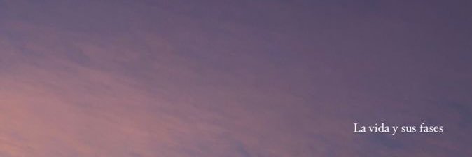 iSandyRey's profile banner image