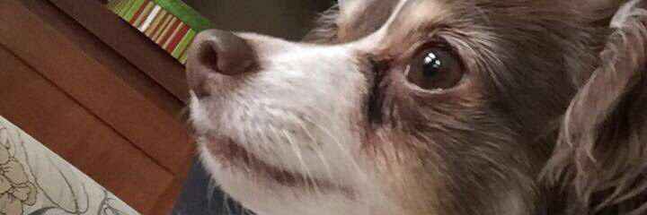MBeasley24's profile banner image