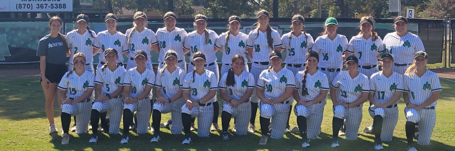 Blossoms Softball banner