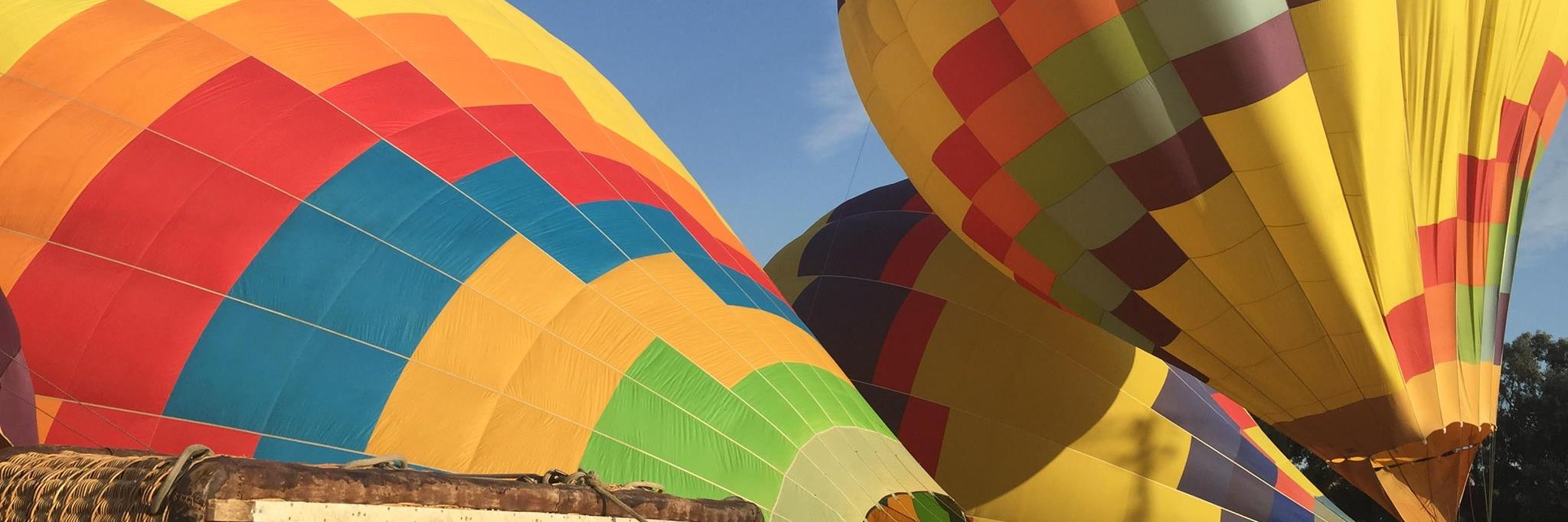 Laureen Knudsen banner