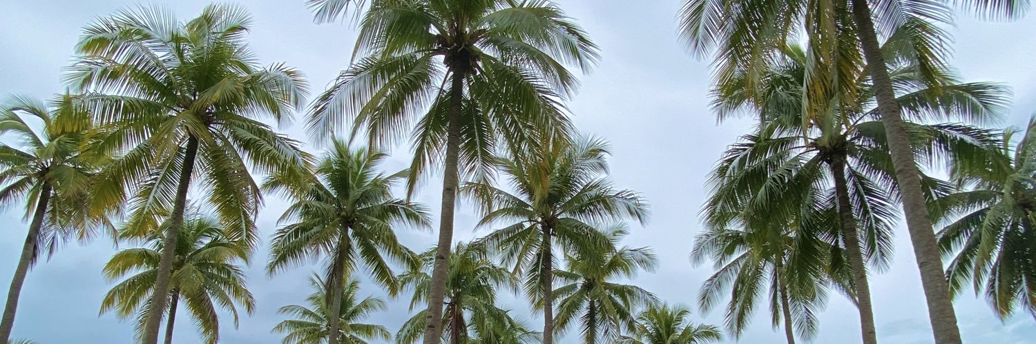 patrinaysabel's profile banner image