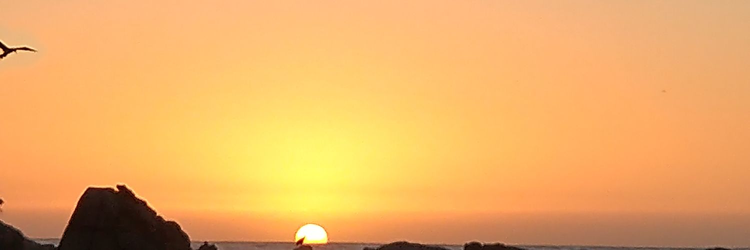 MarceC_Parra's profile banner image
