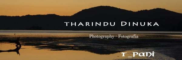 tpani7's profile banner image