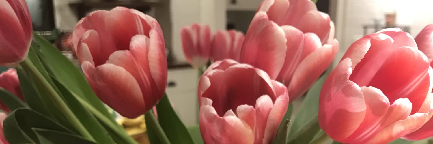 Vanessa Diffenbaugh banner