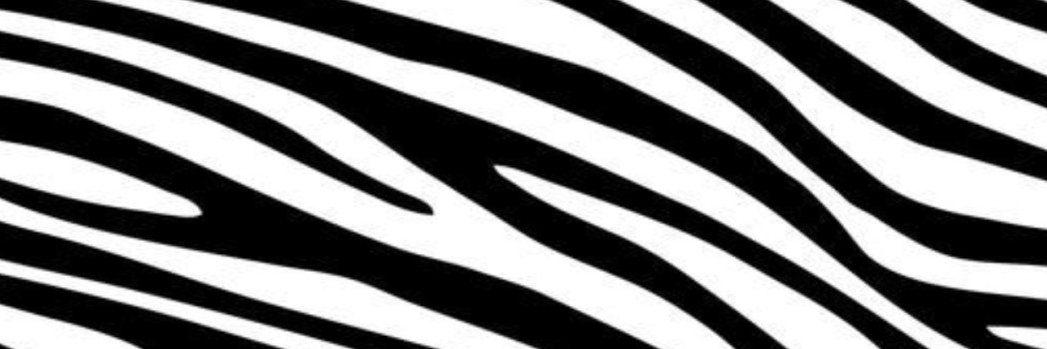 bwerdschinski's profile banner image