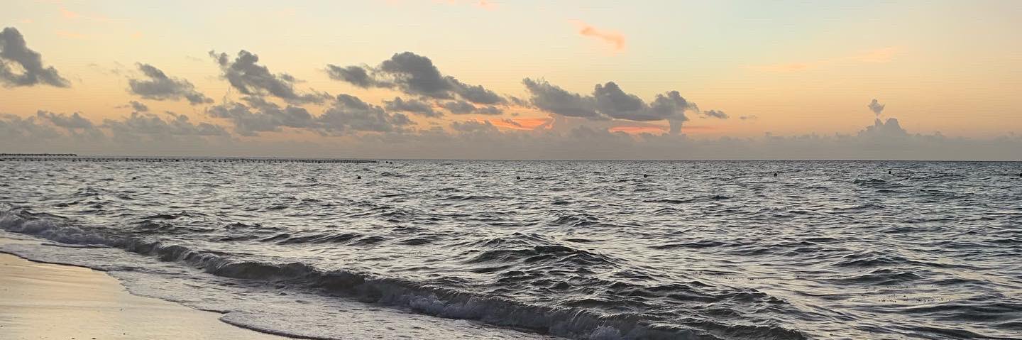 Cryptogirl.hc banner