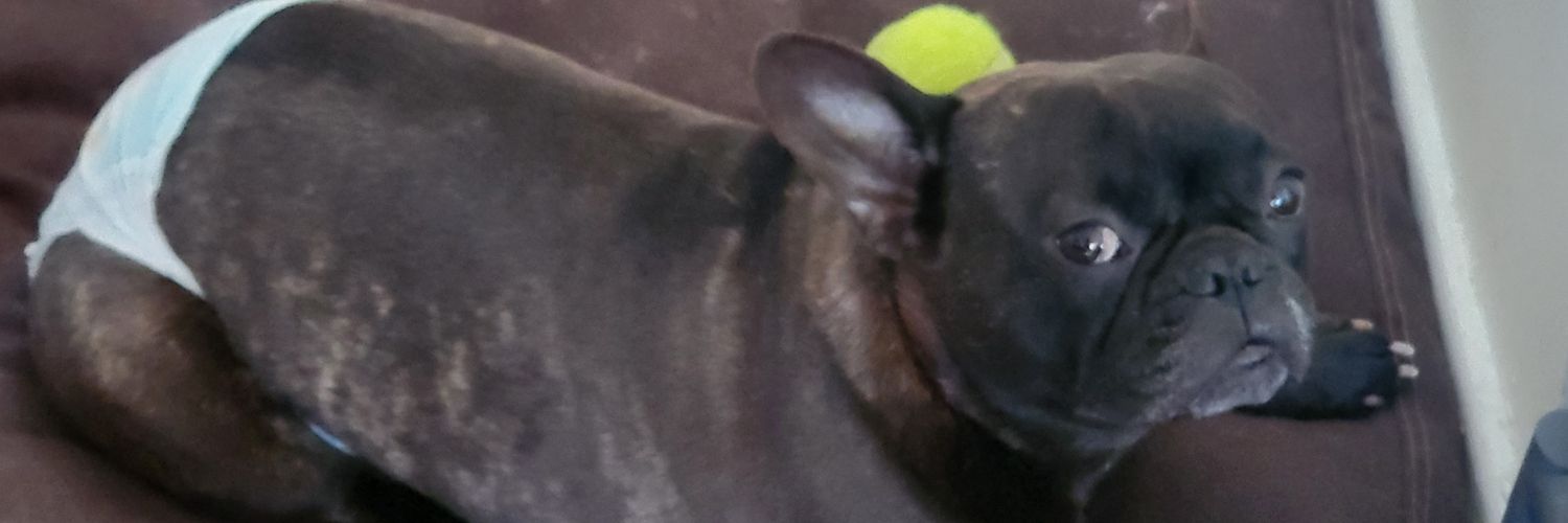 RadLeb's profile banner image