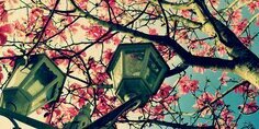 xMiss__'s profile banner image