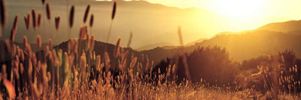 jesikamnrg's profile banner image