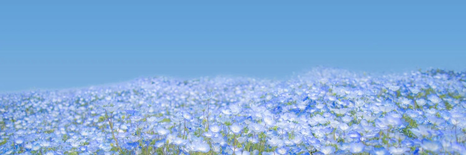 とうふ🐇 banner