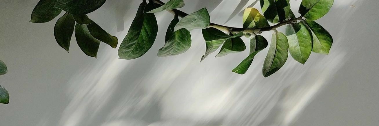 ʝανα∂✨'s banner