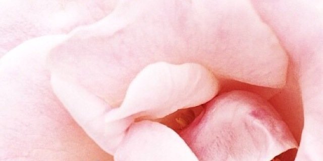 flymetothewoon's profile banner image