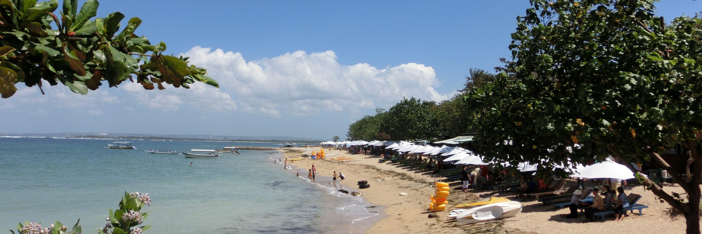 Memo_Bali's profile banner image