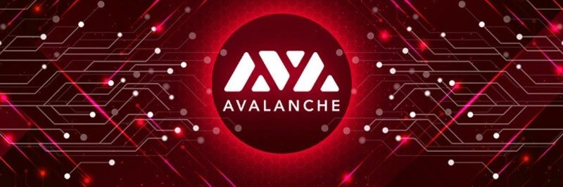 0xmamiredice's profile banner image