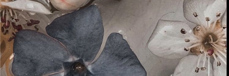 HelenLynnFran's profile banner image