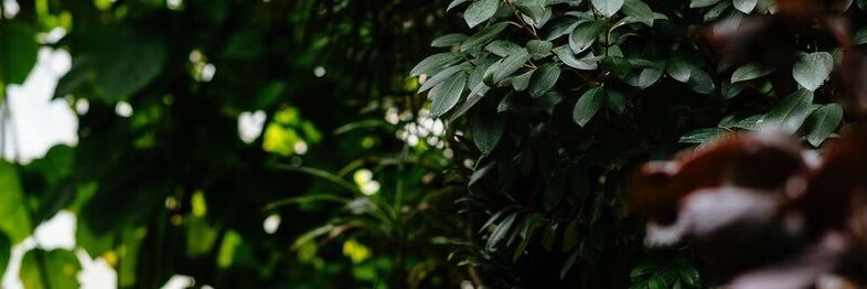 celineggnr's profile banner image