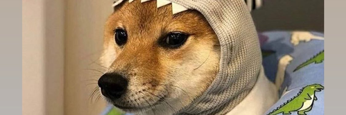 whaleter's profile banner image