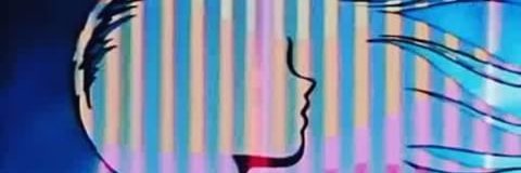 fat girl slim banner