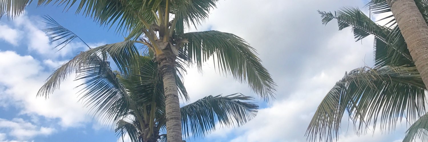 F21_vpn's profile banner image