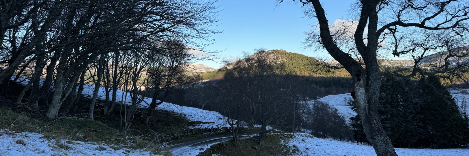 willangus2's profile banner image