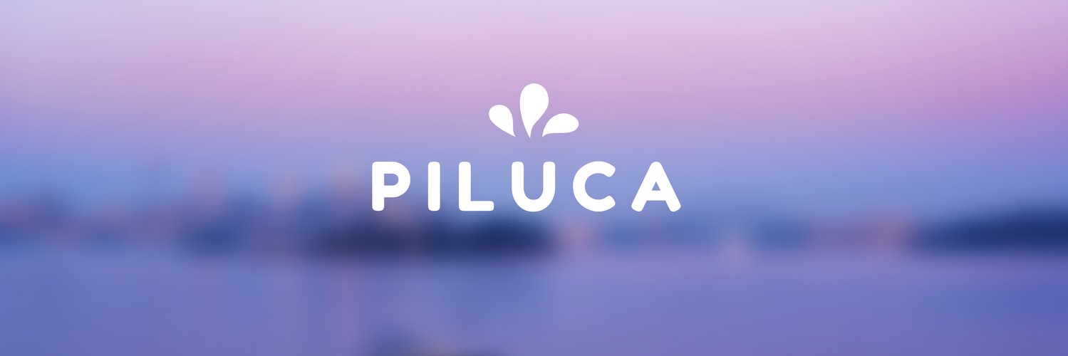 pilu_s's profile banner image