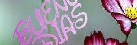 martinosrosa's profile banner image