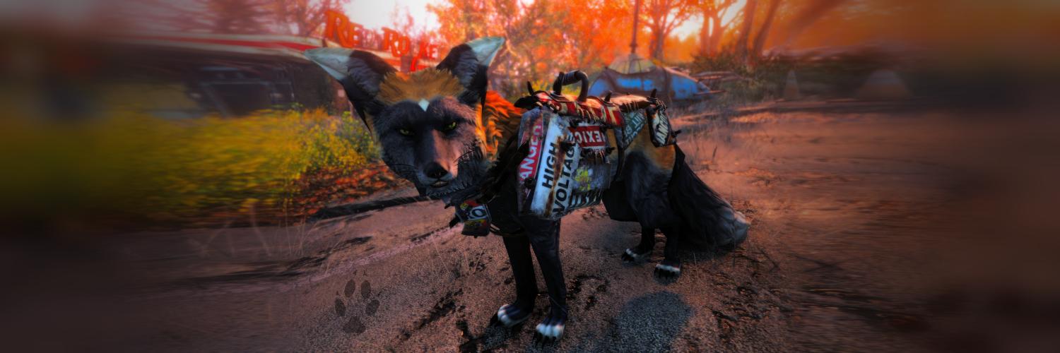 cross__fox's profile banner image