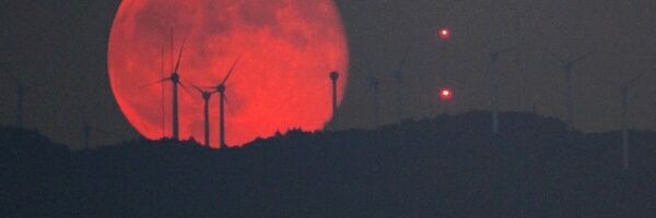 ホーリー【通称】 banner