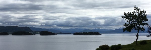 fleischer_julia Profile Banner