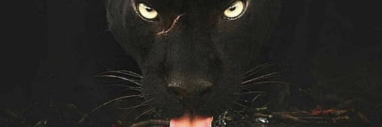 vaslouca13's profile banner image