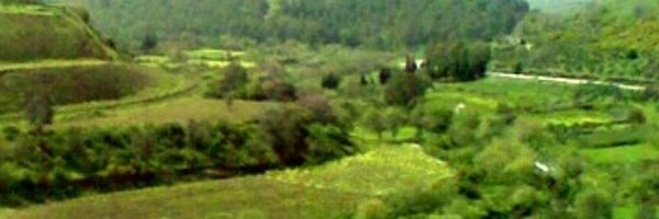 arphp Profile Banner