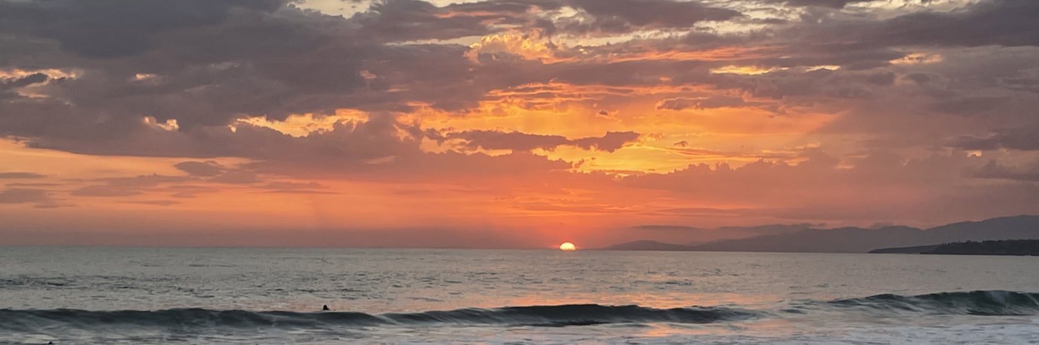 Luisauli's profile banner image
