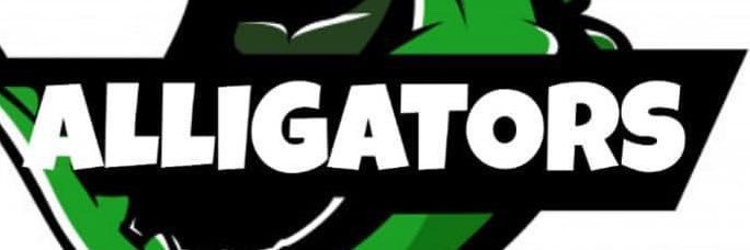 Alligators Rugby Club banner
