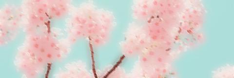 _______l228's profile banner image