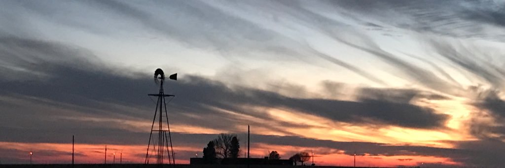 Miraanne's profile banner image