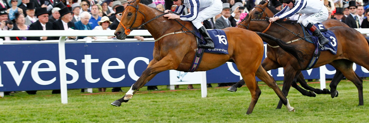 andy taylor banner